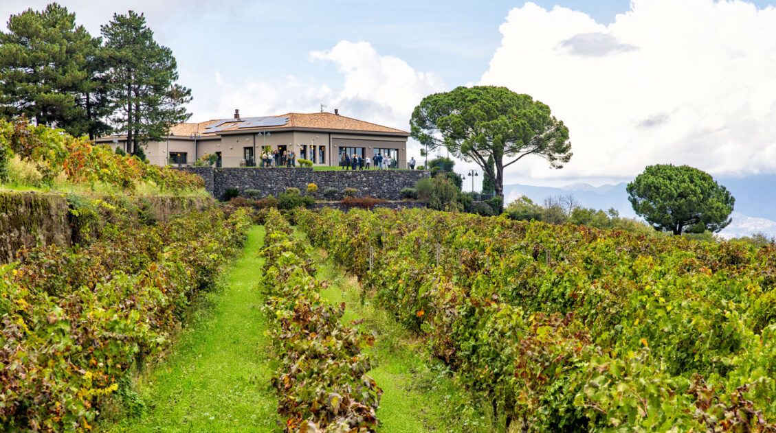 Etna Wine Region Guide