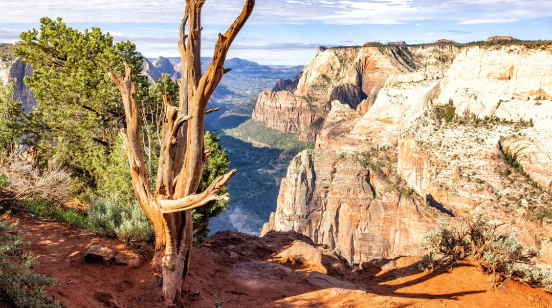 Best Hikes in Zion National Park