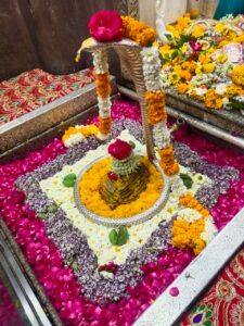 Shri Omkareshwar Jyotirlinga 17 Omkareshwar Darshan 8march